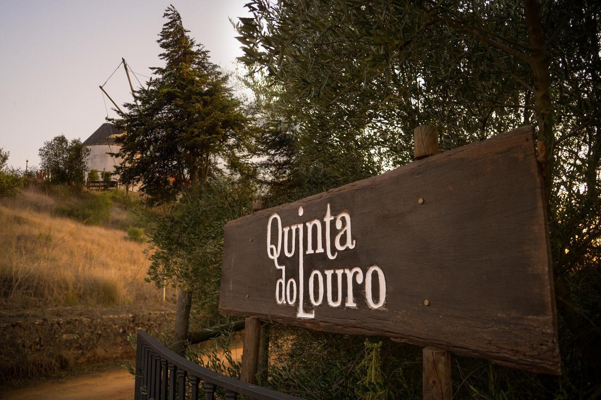 Quinta Do Louro Guest House ปัลเมลา ภายนอก รูปภาพ